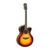 guitar-thung-yamaha-CPX500III