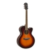 guitar-thung-yamaha-CPX600