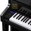 Piano điện Casio GP-510