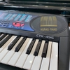 Đàn organ Casio CTK495