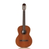Guitar Classic Cordoba C5