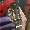 Guitar Classic Cordoba C5