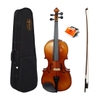 Đàn Violin Omebo RV205 (size 1/2  2/4  3/4  4/4)