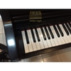 Đàn Piano điện Kawai PW-810