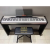 Đàn Piano điện Casio PX 310