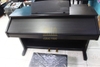Đàn Piano điện Kawai RT-1