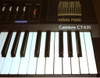 Đàn organ Casio CT630