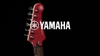 Guitar điện Yamaha PAC212VFM