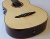 Guitar Thùng Yamaha NCX3