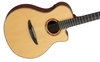 Guitar Thùng Yamaha NTX3
