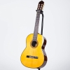 Guitar classic Yamaha CG192S