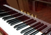 ĐÀN PIANO CƠ KAWAI BL71