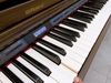 Đàn Piano Điện Roland LX 7 GP