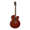 Guitar thùng Yamaha CPX600
