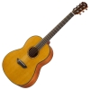 Guitar thùng Yamaha CSF1M