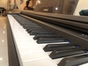 Piano Điện Kawai PW-260MR