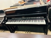 Đàn Piano Điện Roland  LX 15