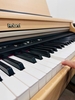 Đàn Piano Điện Roland HP-3