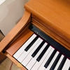 Đàn piano điện Roland HPi-6s