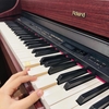 Đàn piano điện Roland HP-507GP