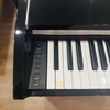 Đàn Piano Điện CASIO PX-1000