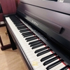 Đàn piano điện Kawai LS-1