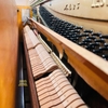 Đàn Piano cơ Lester L35