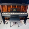 Đàn Piano điện Roland FP-10