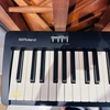Đàn Piano điện Roland FP-10