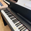 Đàn Piano Điện Casio PX-830