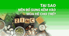 Tại sao nên bổ sung kẽm vào mùa hè cho trẻ? Bí quyết giúp bé ăn ngon, khỏe mạnh suốt hè