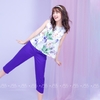 SET FB83.1 