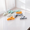 Set 20 kẹp quần áo màu sắc Kokubo