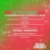 EVL BCAA ENERGY 30 Servings