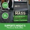 Optimum Nutrition Serious Mass (12lbs~5.45 Kg)