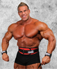 Schiek 2006 Lifting Belt
