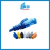 Đầu chụp hạt mạng RJ45 đẹp