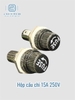hop-cau-chi-ong-fuse-6-30-15a-250v-moi