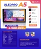 man-oledpro-a5-2-32gb-chip-ts8