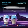 x-led-pro-domax-light