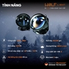 led-wolf-light