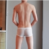 Quần lót nam lưới trong suốt 365