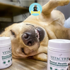 VETACTIV8 Dental Health Bột Tảo Bổ Sung Cho Chó Mèo 150G
