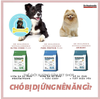 DR Healmedix Urinary Care For Dog