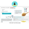 DR Healmedix RX Scaling Chew