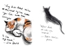Puss in Books: Our best-loved writers on their best-loved cats