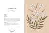Floriography: An Illustrated Guide to the Victorian Language of Flowers