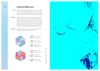 Palette Perfect For Graphic Designers And Illustrators: Colour Combinations, Meanings and Cultural References