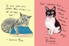 Puss in Books: Our best-loved writers on their best-loved cats
