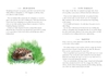 Every Day Nature: How noticing nature can quietly change your life